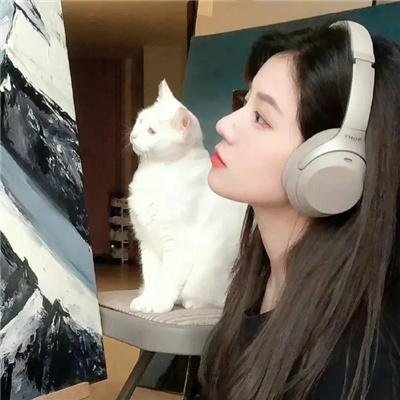班尼的录影带
